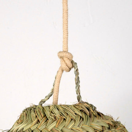 Suspension en alfa - Parasol