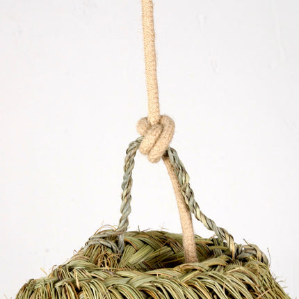 Suspension en alfa - Parasol